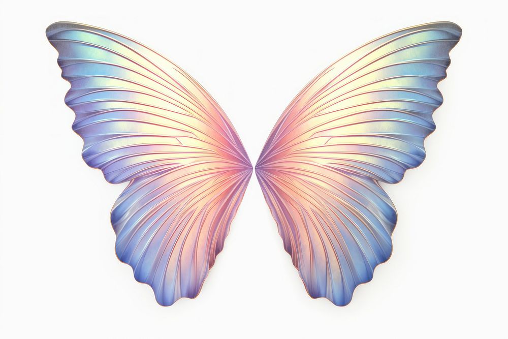 Butterfly wings iridescent pattern petal white background.