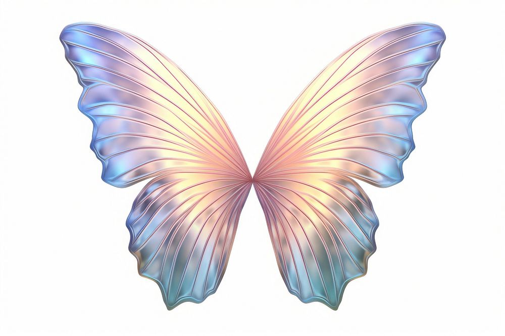 Butterfly wings iridescent insect petal white background.