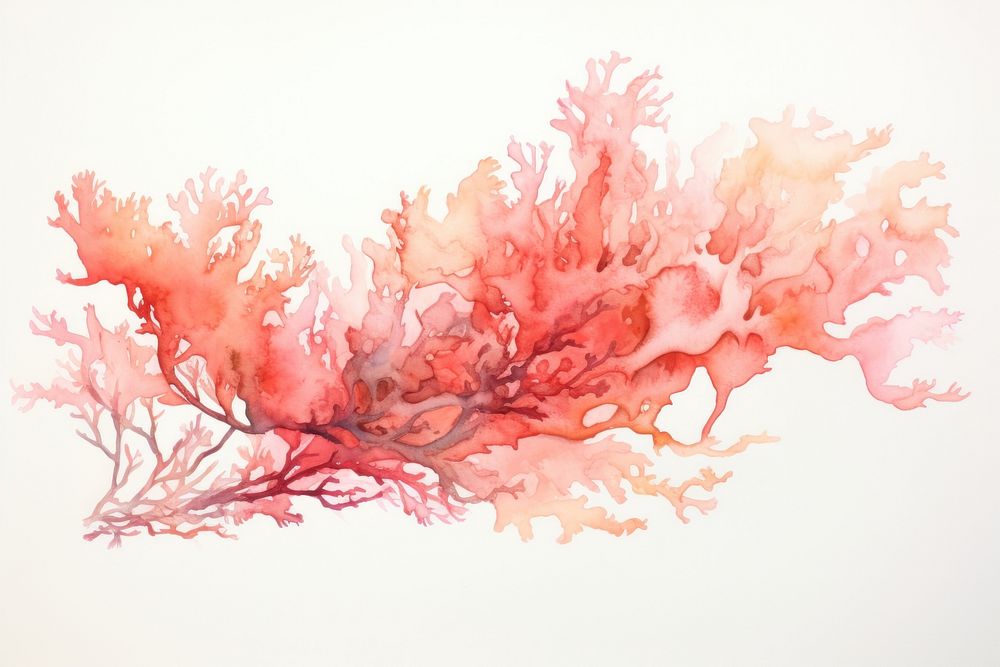 Coral painting nature water.