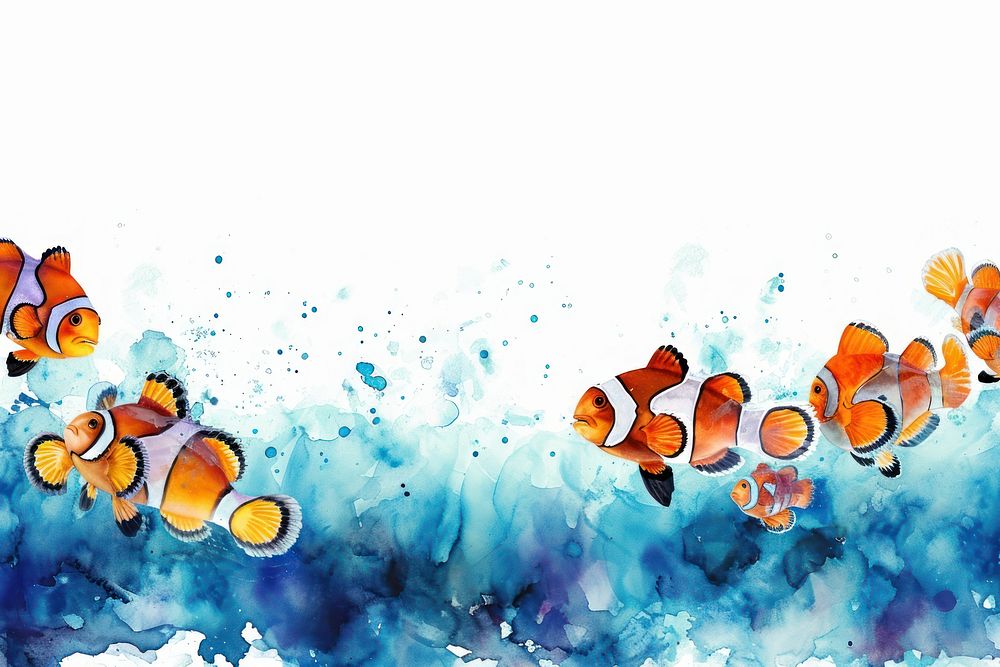 Clown fish border water pomacentridae backgrounds.