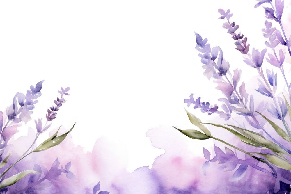 Lavender flower watercolor border painting blossom nature.