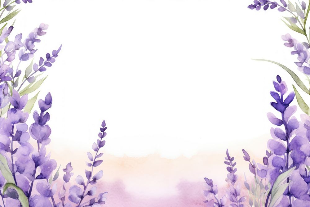 Lavender flower watercolor border blossom nature purple.