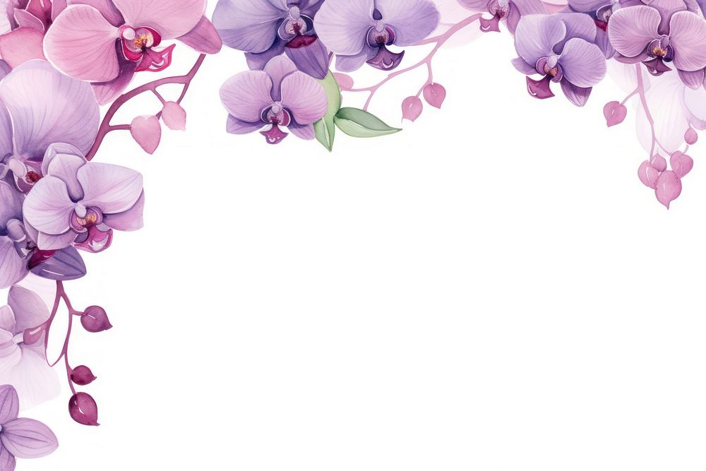 Purple orchid watercolor border flower nature petal.