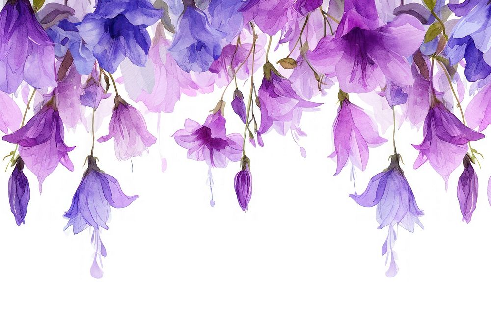 Purple flower purple lavender petal.