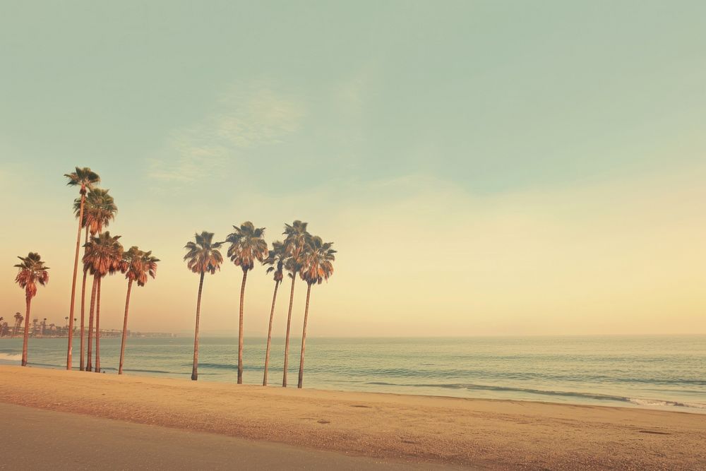 Palm trees beach landscape outdoors. AI generated Image by rawpixel.