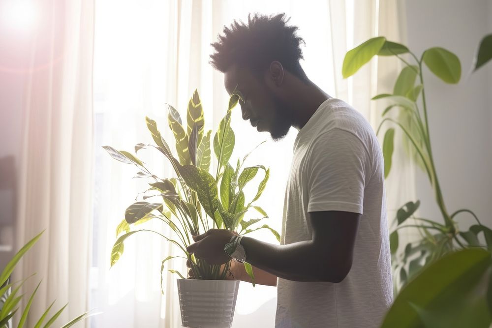 African American man plant windowsill gardening.