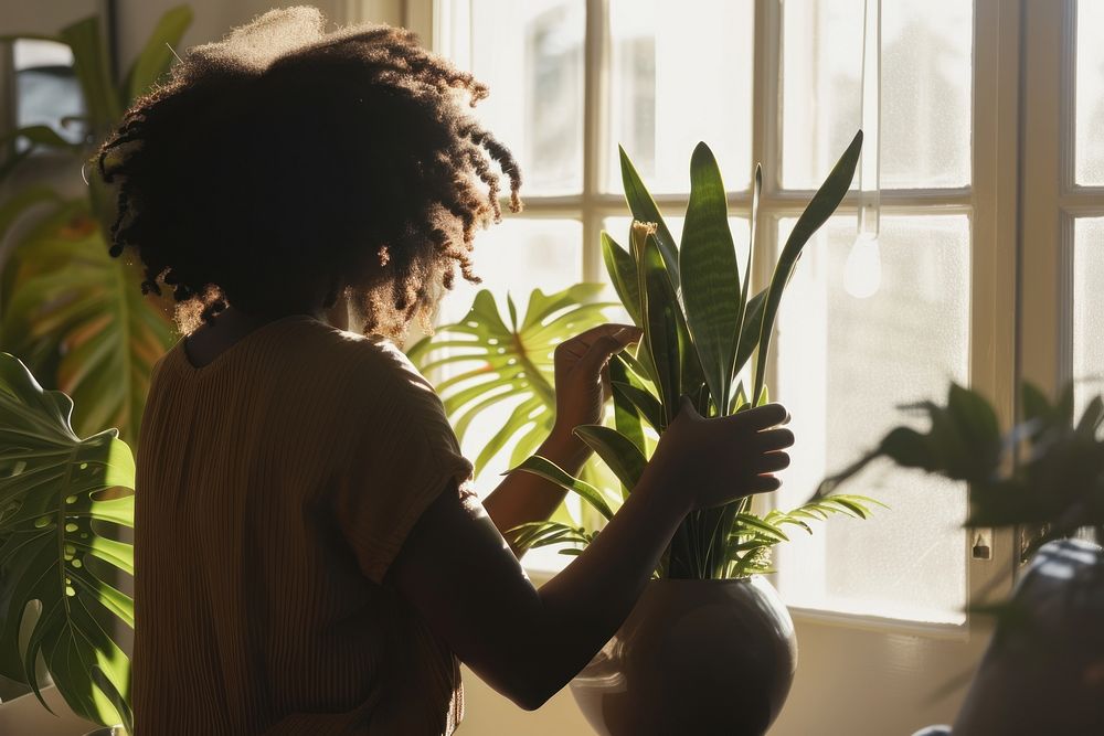 African American woman plant window adult.