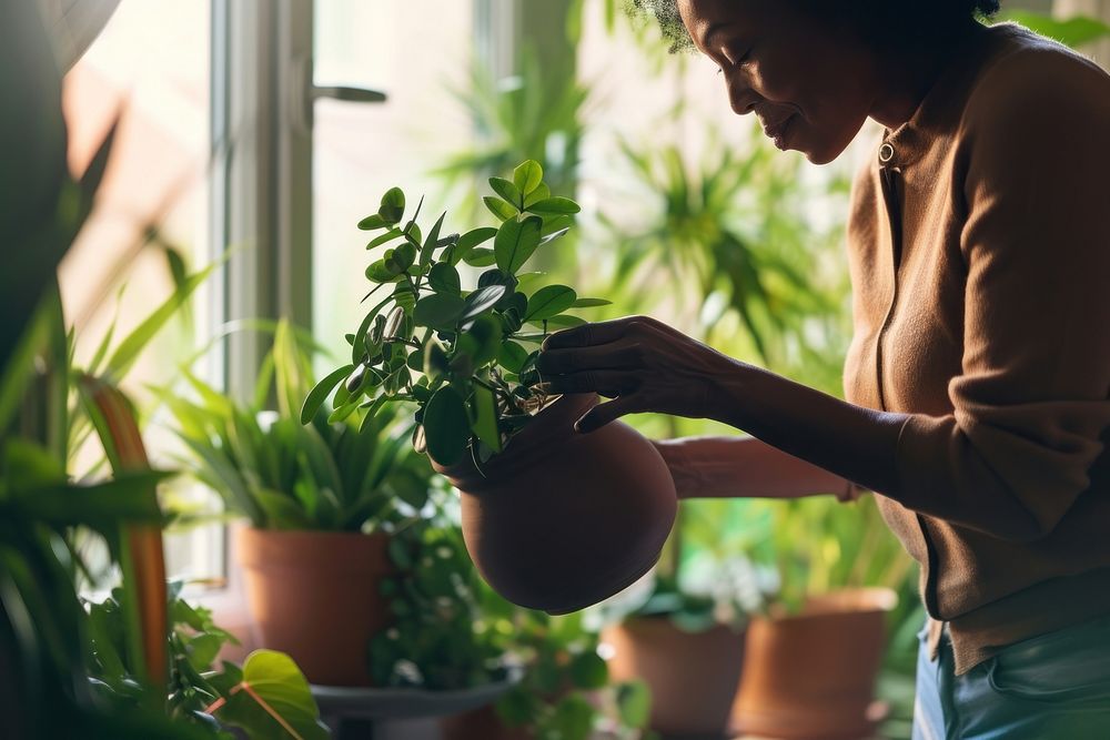 African American woman plant gardening window.