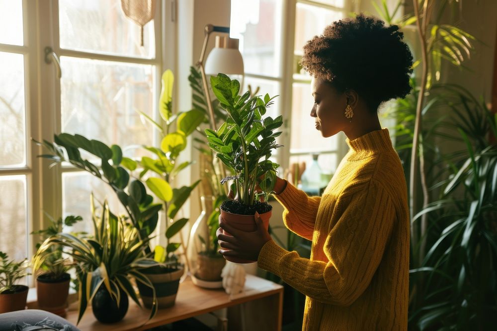 African American woman plant windowsill adult.