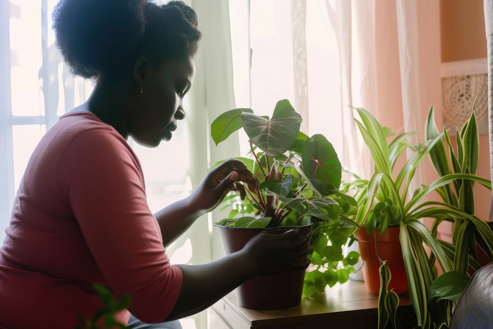 African American woman plant gardening window.
