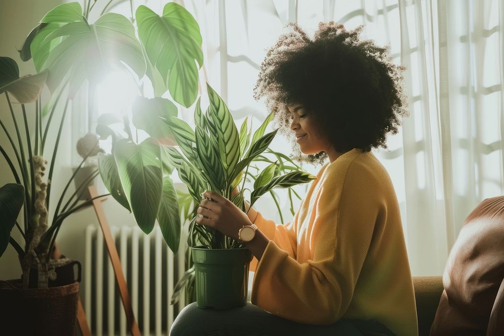 African American woman plant sitting adult.