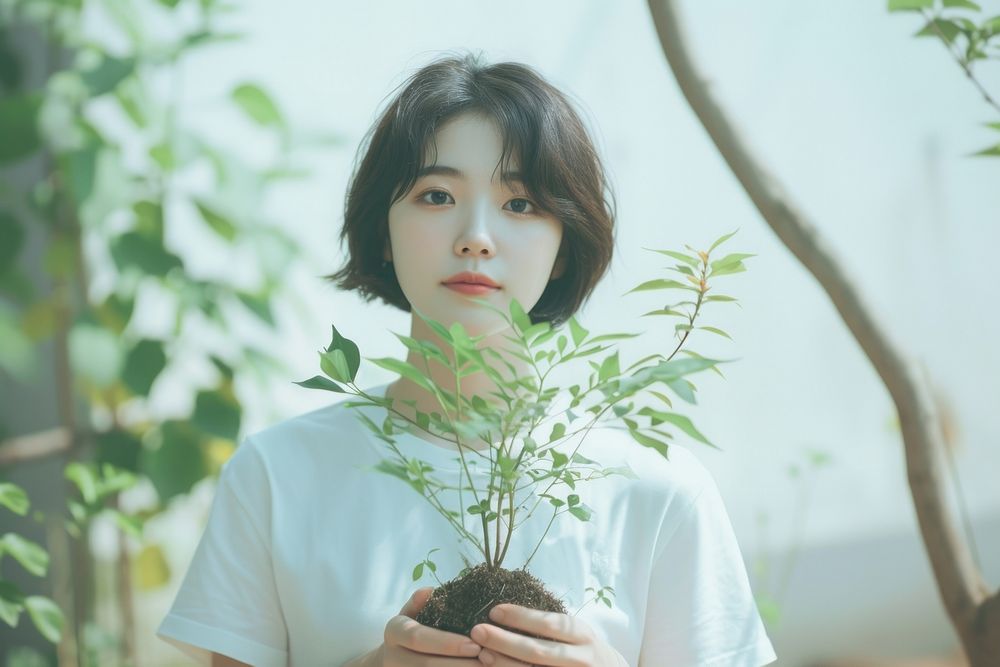 Korean female portrait adult plant.