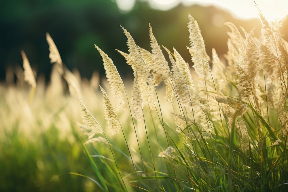  Plant background grass field grassland. AI generated Image by rawpixel.