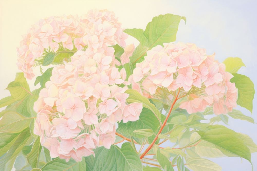  Hydrangea painting flower plant. AI generated Image by rawpixel.