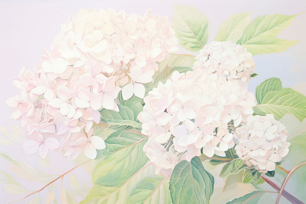  Hydrangea flower plant lilac. AI generated Image by rawpixel.