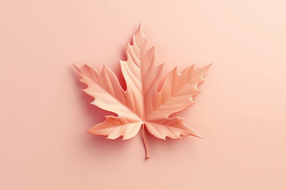 3d render icon of autumn leaf plant fragility nature.