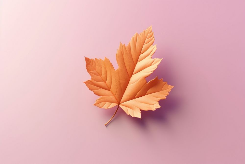 3d render icon of autumn leaf plant tree fragility.