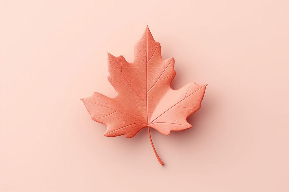 3d render icon of autumn leaf plant tree simplicity.