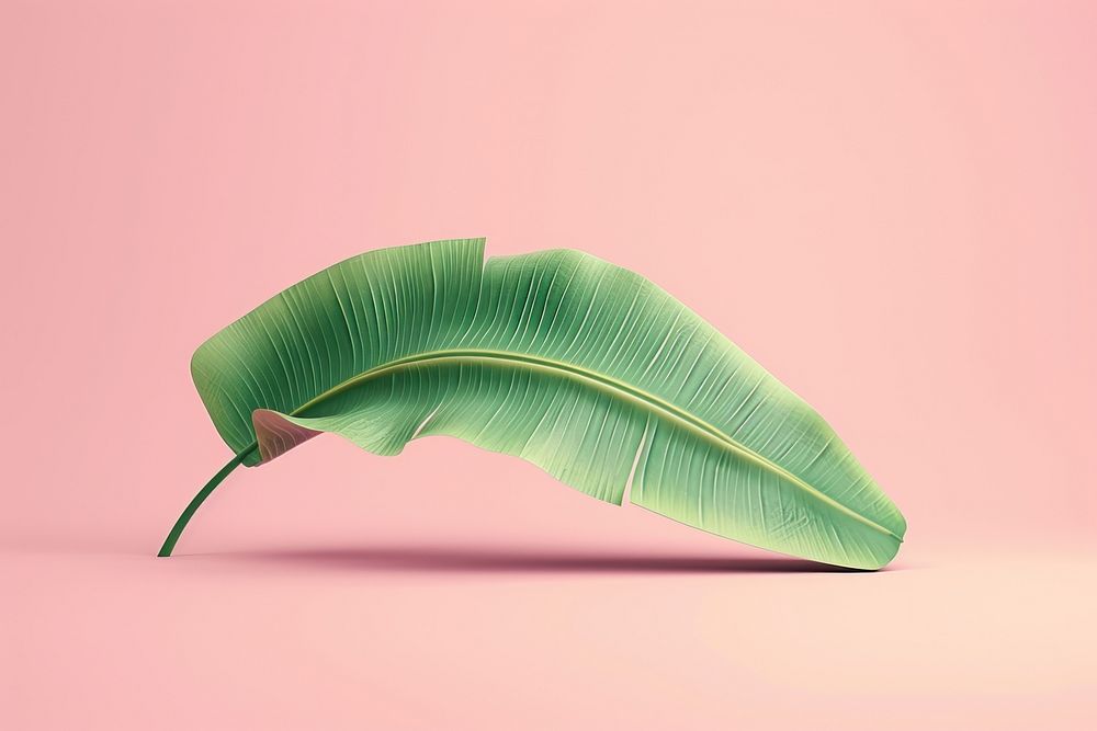 3d render icon of banana leaf plant blossom ikebana.
