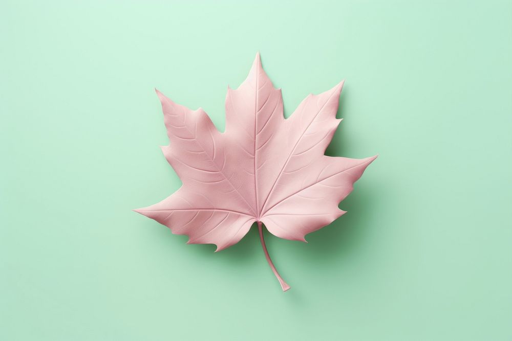 3d render icon of leaf plant tree fragility.