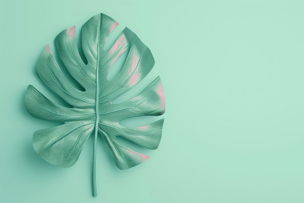 3d render icon of minimal cute tropical leaf plant accessories handicraft.