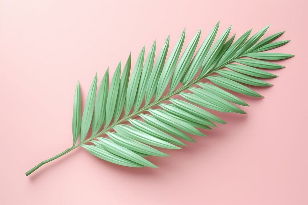 3d render icon of palm leaf plant freshness blossom.