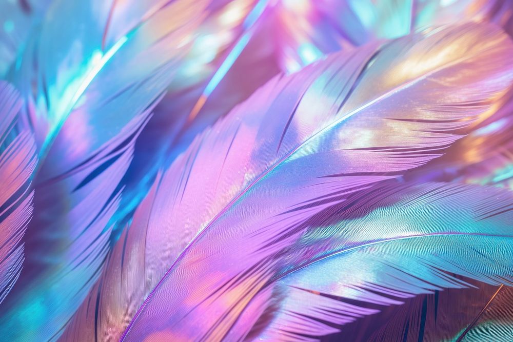 Feather texture backgrounds pattern purple.