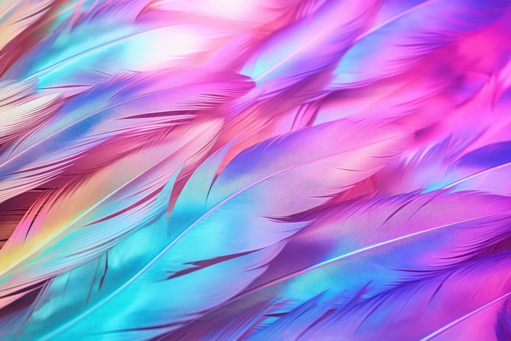 Feather texture backgrounds pattern lightweight.