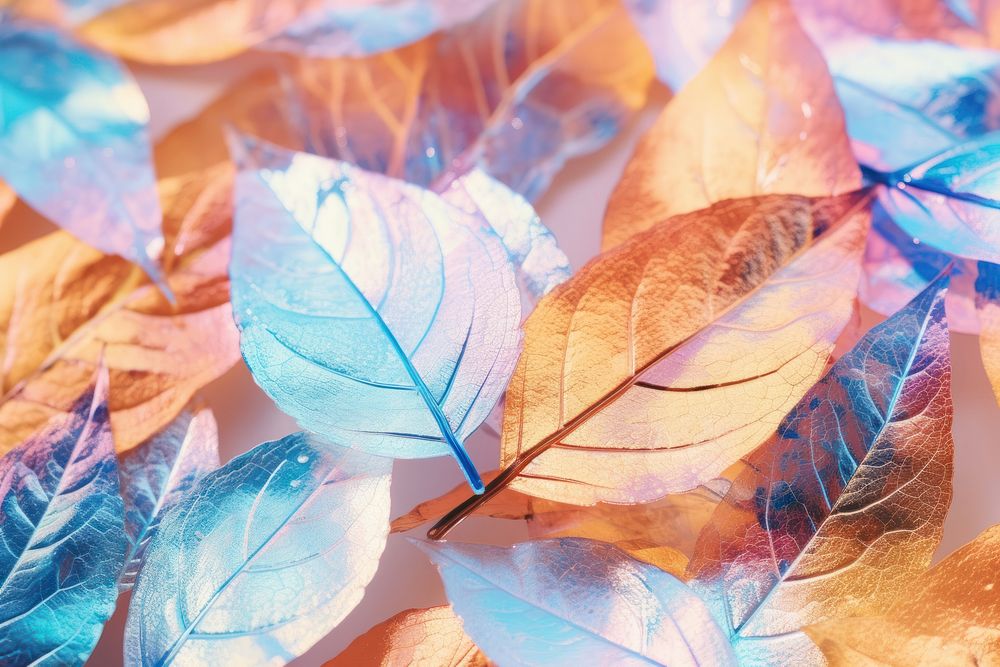 Orange and blue autumn leaves texture backgrounds plant leaf.