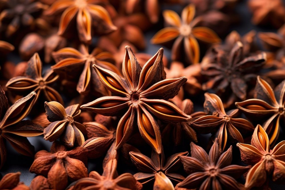 Anise herbs backgrounds plant spice.