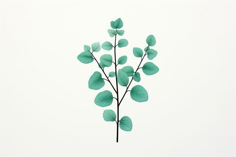 Mint plant leaf art.