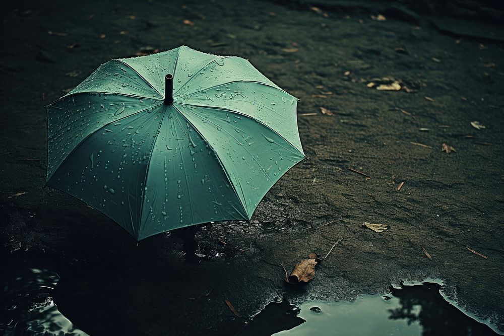 Rain umbrella day monochrome.