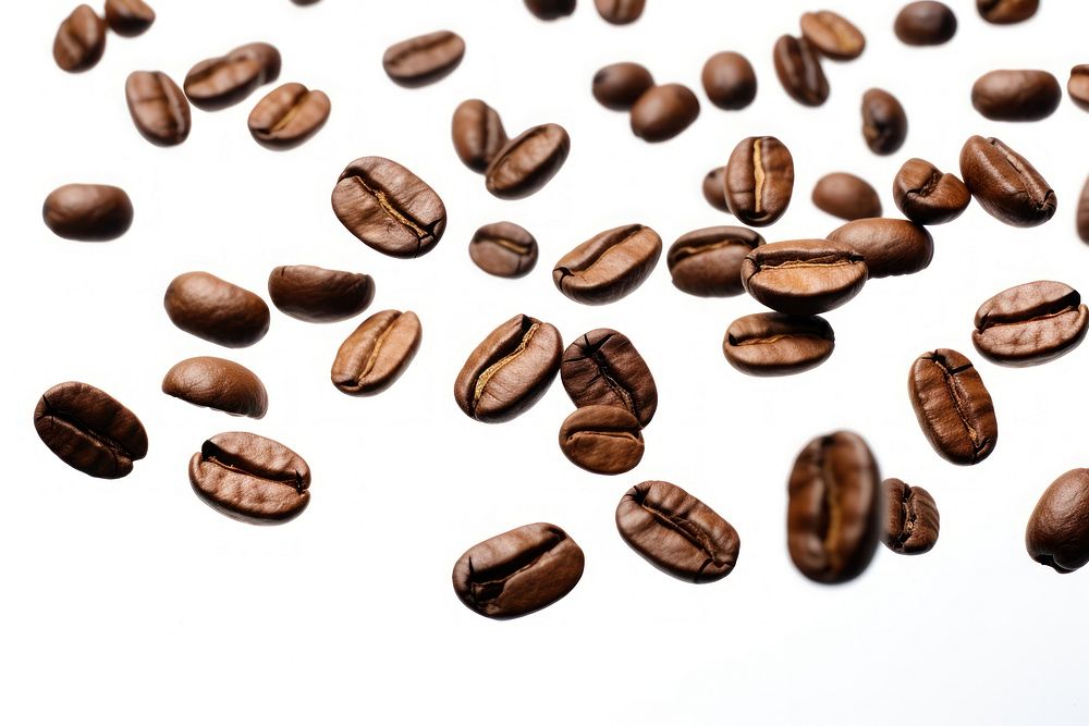 Coffee beans backgrounds white background freshness.