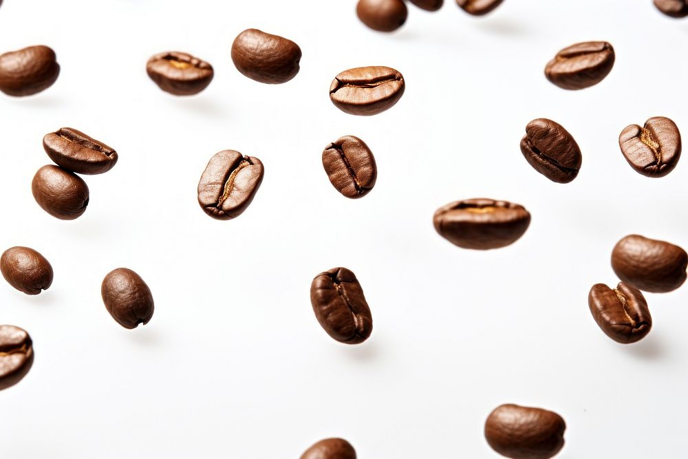 Coffee beans backgrounds white background freshness.