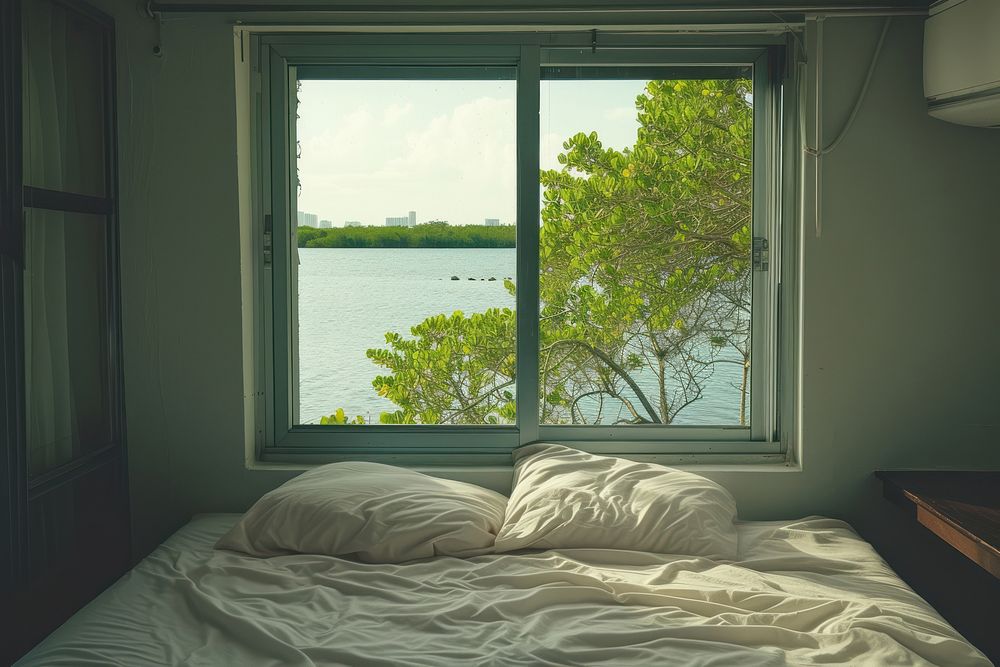 Window see mangrove furniture pillow nature.