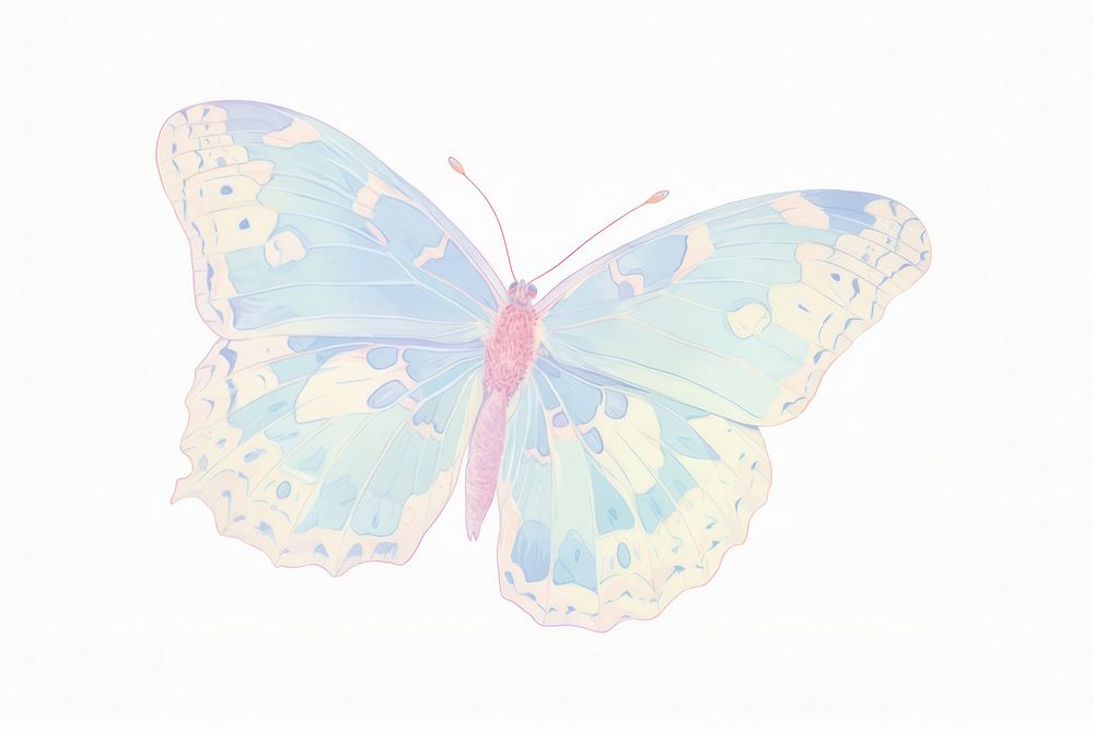 A one blue butterfly drawing animal insect.