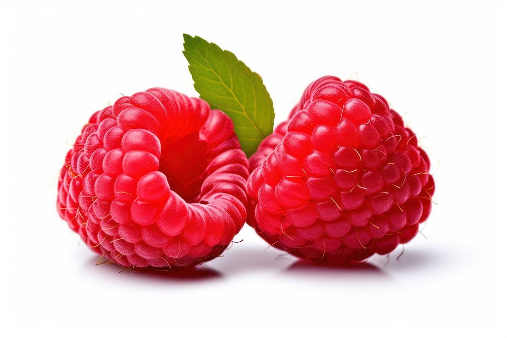 Ripe rasberry raspberry fruit plant.