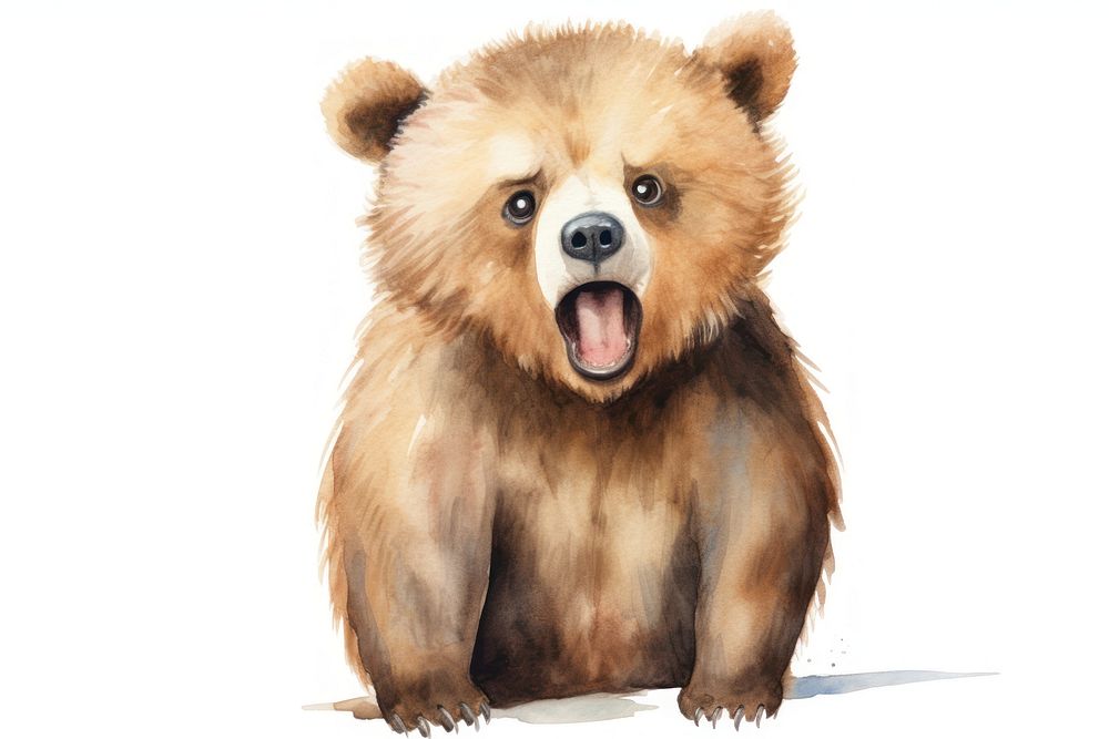 Bear surprised face expression mammal animal white background.