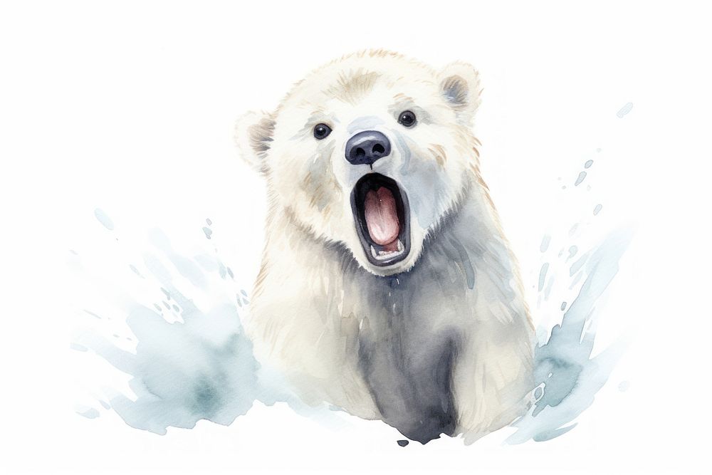 Polar surprised face expression wildlife mammal animal.