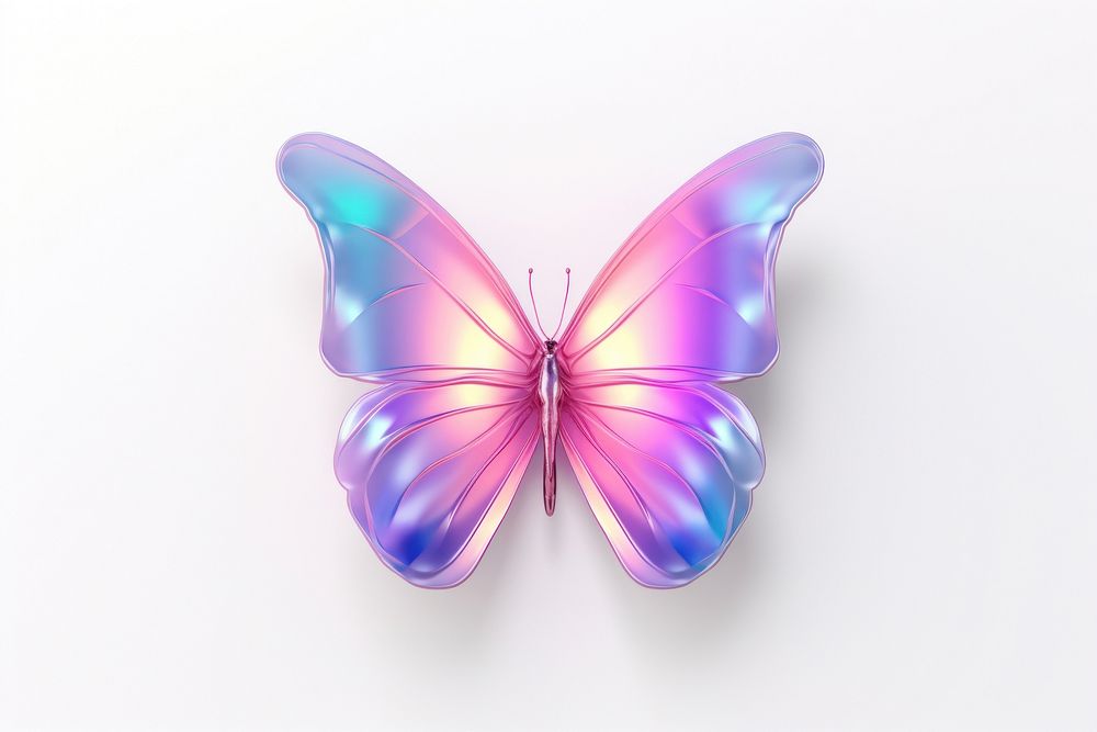 Butterfly butterfly purple white background.