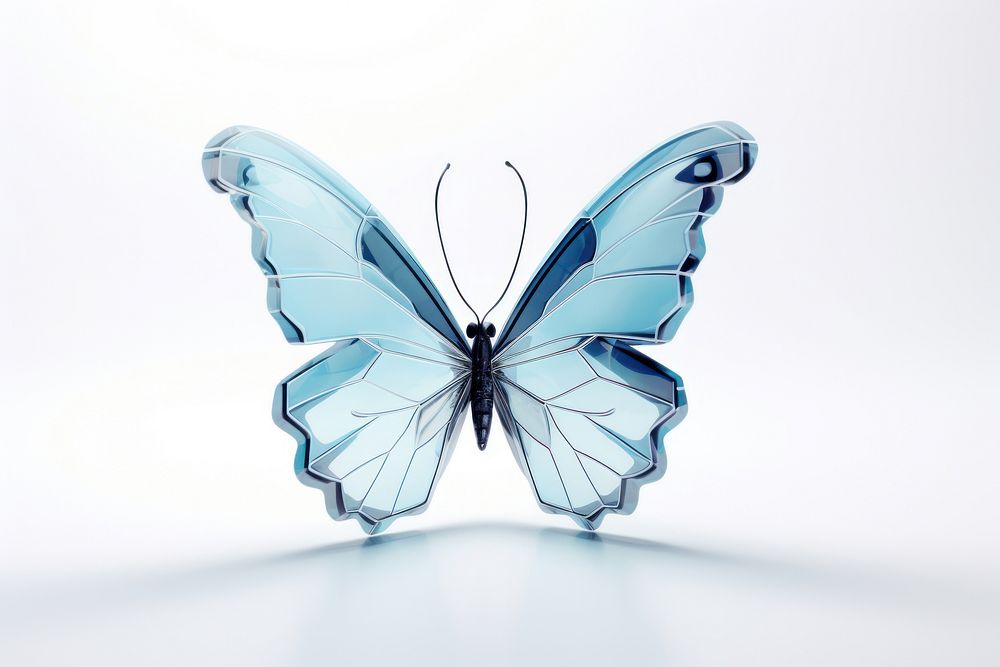 Butterfly side view animal insect white background.