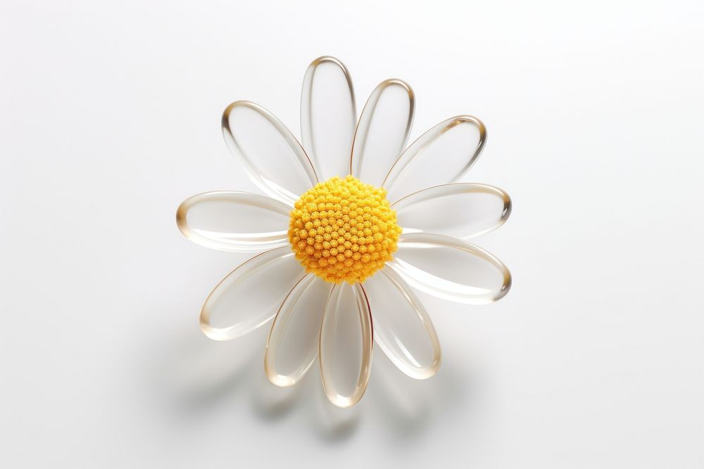 Daisy flower icon jewelry petal plant.