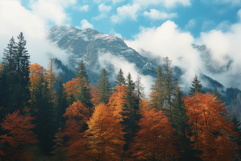 Autumn trees landscape mountain outdoors.