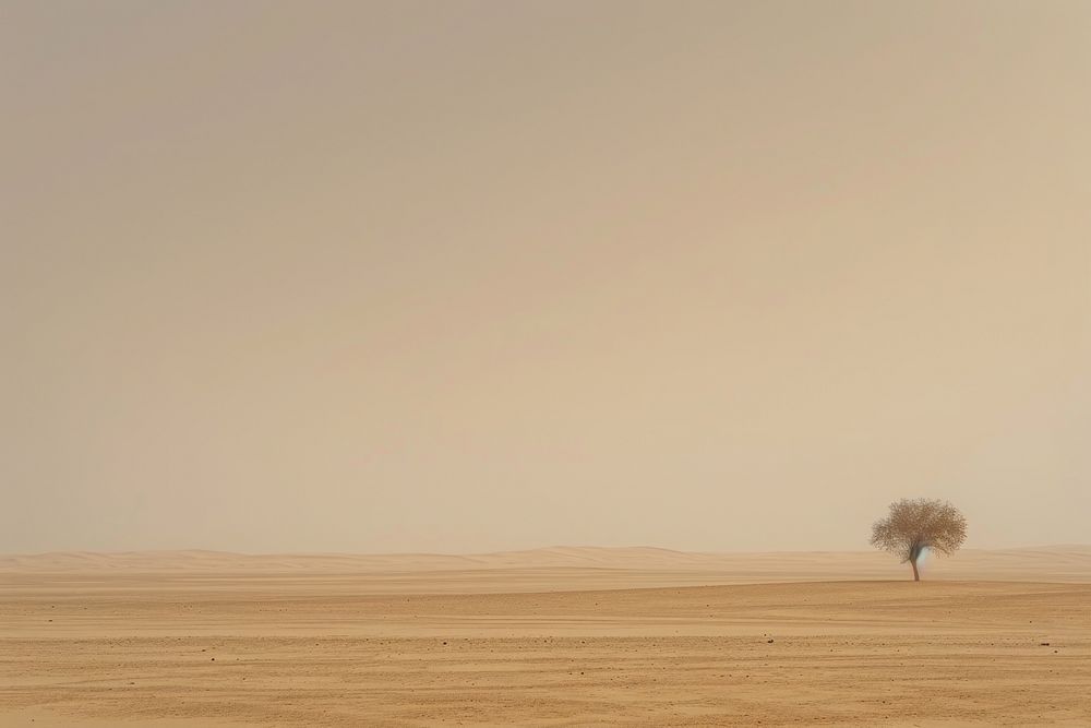 Empty scene of desert outdoors horizon nature.