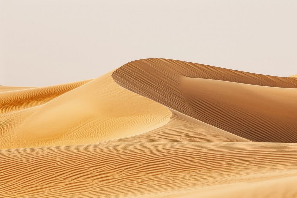 Empty scene of desert nature dune sand.