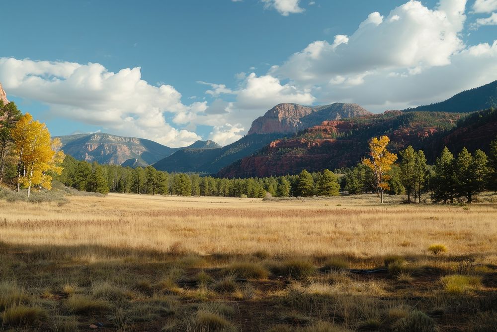 Empty scene of national park wilderness landscape mountain.