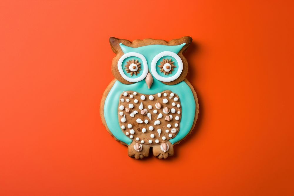 Owl art cookie anthropomorphic.