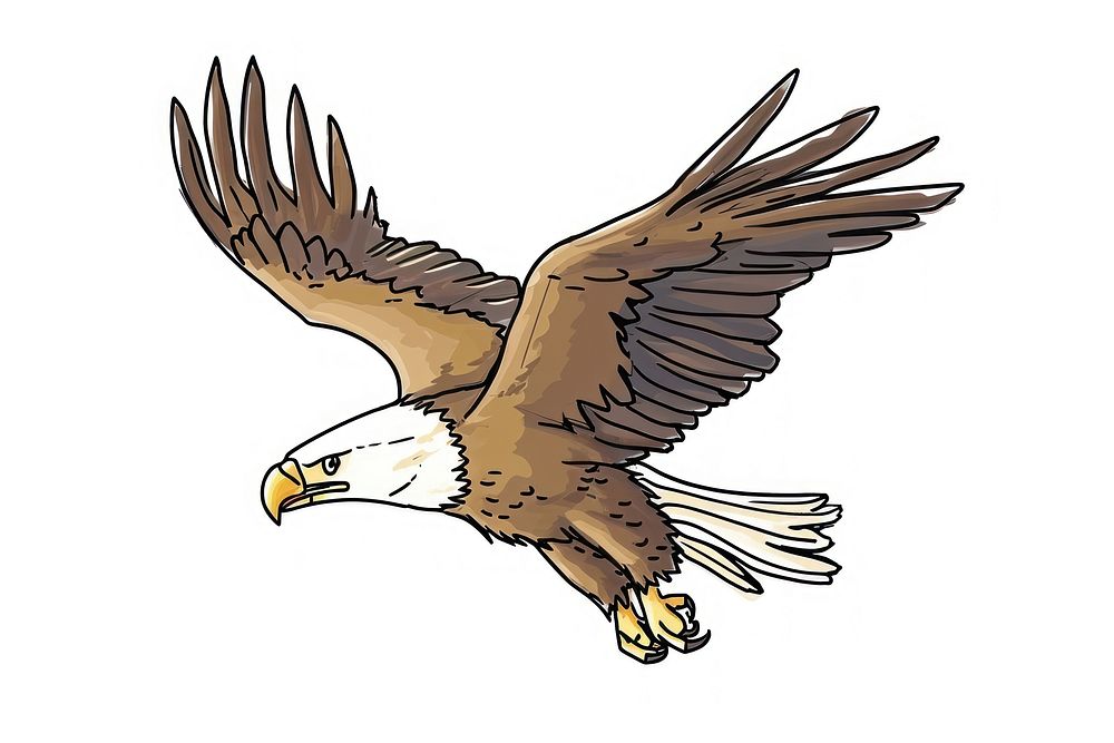 Hand-drawn sketch cartoon eagle flying animal bird beak.