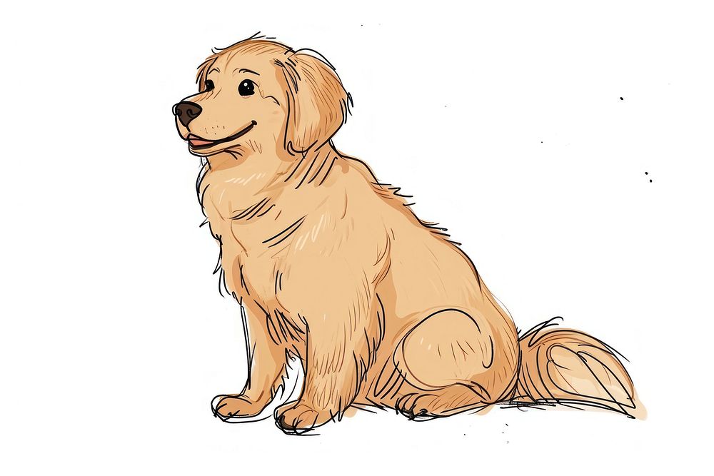 Hand-drawn sketch cartoon golden retriever animal mammal puppy.