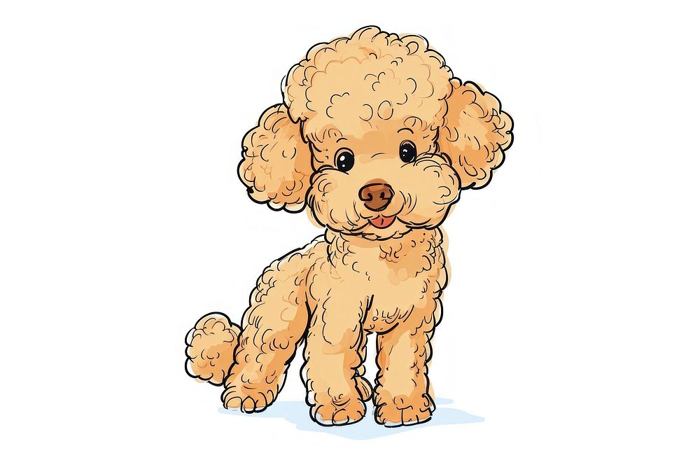 Hand-drawn sketch cartoon poodle mammal animal puppy.